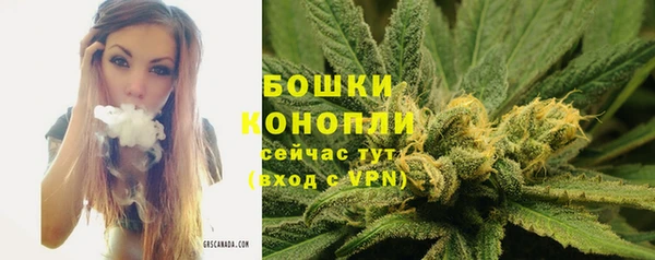 круглые Осташков